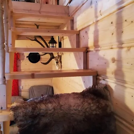 Widokowa 펜션 Obidowa