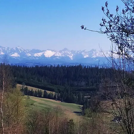 Widokowa *