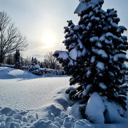 펜션 Widokowa Obidowa