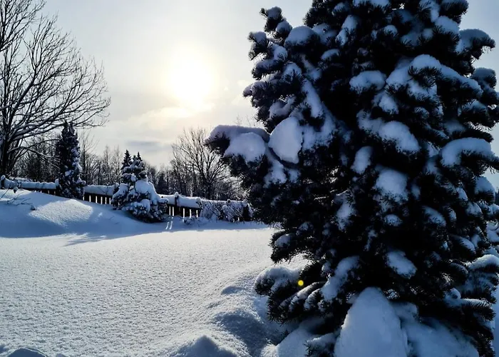 Tatil Evi Widokowa Obidowa